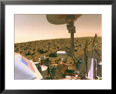 A Field Of Red Rocks Reaches To The Horizon On Mars' Utopian Plain by Nasa Pricing Limited Edition Print image