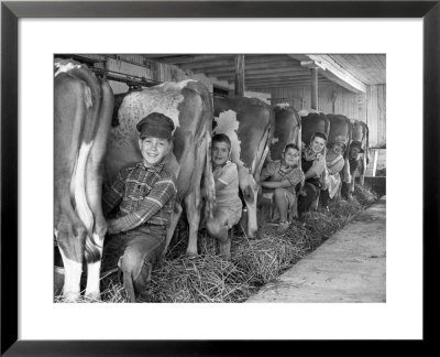 Row Of Cows' Rumps, With Fat Cheeked Family Of Six Milking Them, In Neat Cow Barn by Alfred Eisenstaedt Pricing Limited Edition Print image