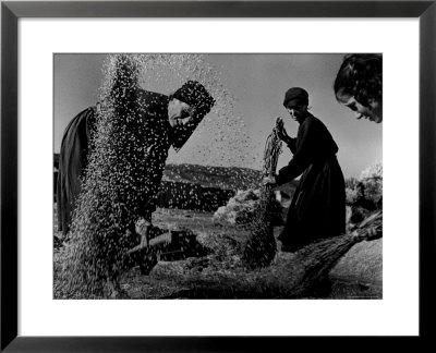 Grain Flying In Air During Winnowing By Women In Famous Spanish Village by W. Eugene Smith Pricing Limited Edition Print image