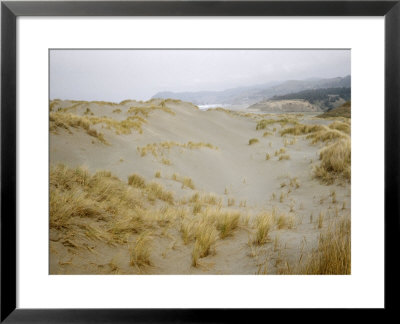 Dunes Along The Coast Of Oregon by Eliot Elisofon Pricing Limited Edition Print image