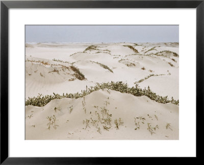 Padre Island Dunes Crested With Grass, White Capped Waves From The Gulf Of Mexico Lapping At Shore by Eliot Elisofon Pricing Limited Edition Print image