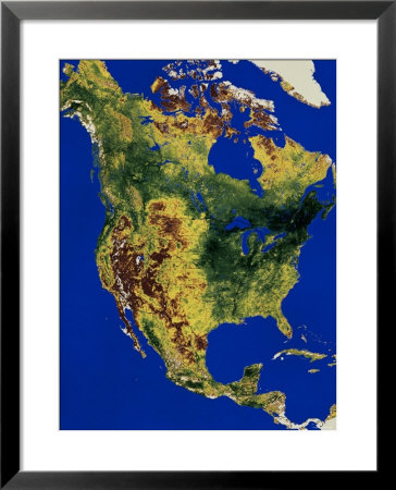 Topographic View Of North And Central America by Stocktrek Images Pricing Limited Edition Print image