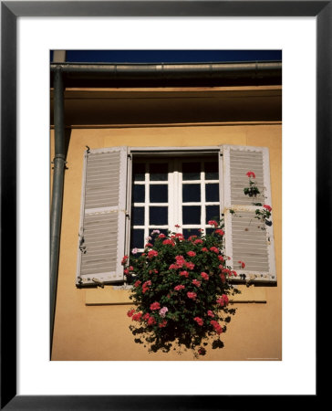 Shutters And Window, Aix En Provence, Provence, France by Jean Brooks Pricing Limited Edition Print image