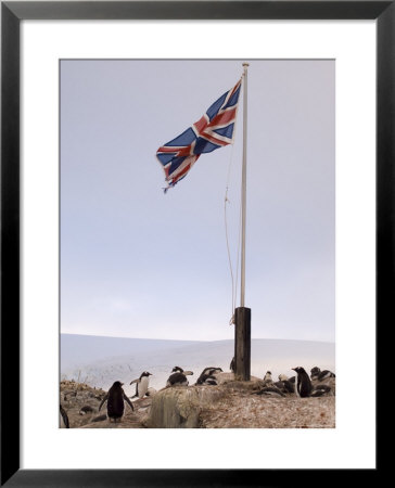 British Base, Port Lockroy, Antarctic Peninsula, Antarctica, Polar Regions by Sergio Pitamitz Pricing Limited Edition Print image
