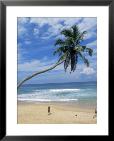 Palm Tree And Coconut Seller, Hikkaduwa Beach, Sri Lanka by Yadid Levy Pricing Limited Edition Print image