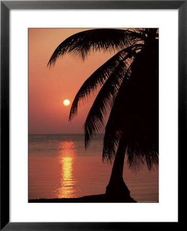 Sunset Seen From The Resort Of West End On Roatan, Largest Of The Bay Islands, Honduras, Caribbean by Robert Francis Pricing Limited Edition Print image