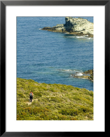 Blooming Maquis Along Rugged Mediterranean Coastline, Le Sentier Des Douaniers, Cap Corse by Trish Drury Pricing Limited Edition Print image