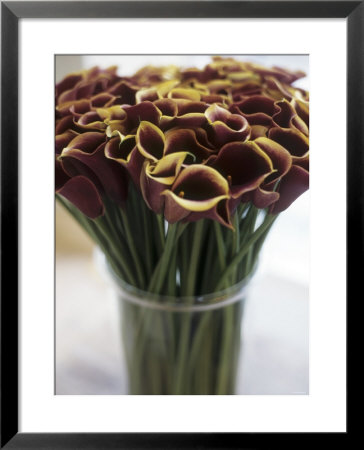 Red Calla Lilies In A Vase by Anthony Lanneretonne Pricing Limited Edition Print image