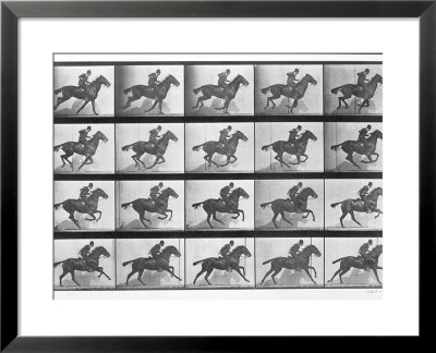 Galloping Horse, Plate 628 From Animal Locomotion, 1887 by Eadweard Muybridge Pricing Limited Edition Print image