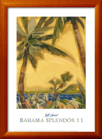 Bahama Splendor Ii by Jeff Surret Pricing Limited Edition Print image
