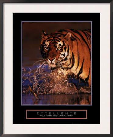 Excellence - Bengal Tiger by Stuart Westmoreland Pricing Limited Edition Print image