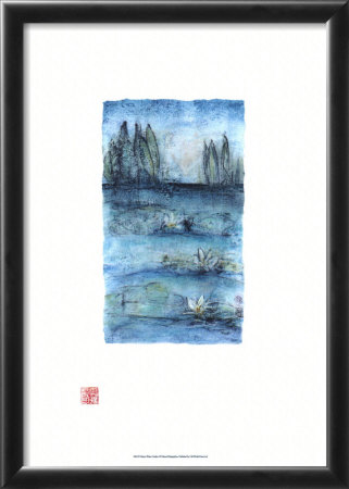 Mauro Water Garden I by Mauro Pricing Limited Edition Print image