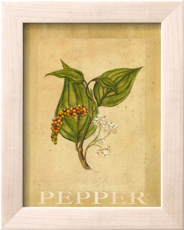 Pepper by Renee Bolmeijer Pricing Limited Edition Print image