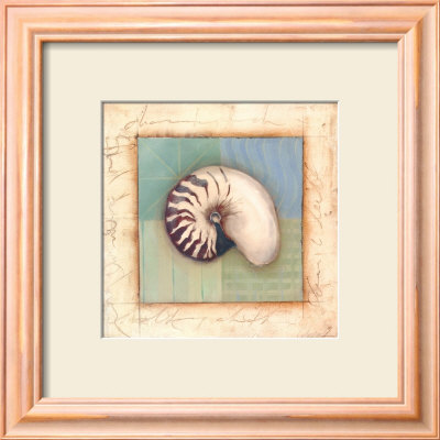 Shell Accents Ii by Celeste Peters Pricing Limited Edition Print image