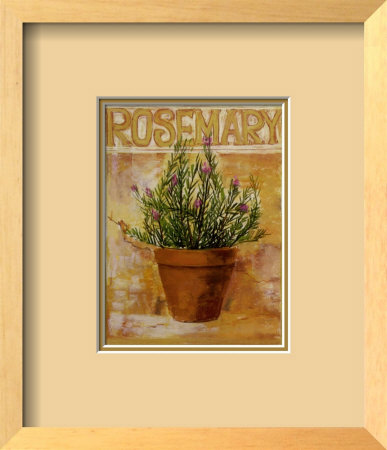 Rosemary by Carol Elizabeth Pricing Limited Edition Print image