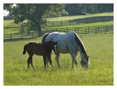 Quiet Moment by Robert Dawson Pricing Limited Edition Print image