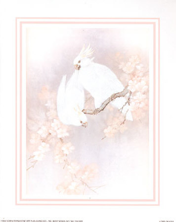 Cockatoo by T. C. Chiu Pricing Limited Edition Print image