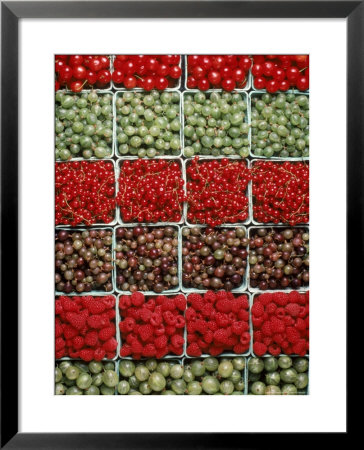 Raspberries, Gooseberries, Red Currents by John Dominis Pricing Limited Edition Print image
