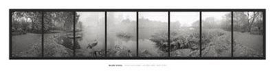 Pond Sanctuary, Central Park by Allen Schill Pricing Limited Edition Print image
