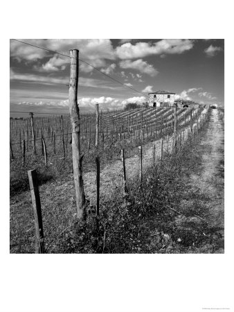 Dirt Road Leading To House, Tuscany, Italy by Eric Kamp Pricing Limited Edition Print image