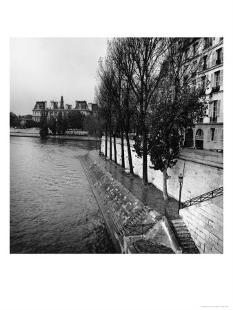 Tree, Isle Saint Louis And Seine River, France by Eric Kamp Pricing Limited Edition Print image