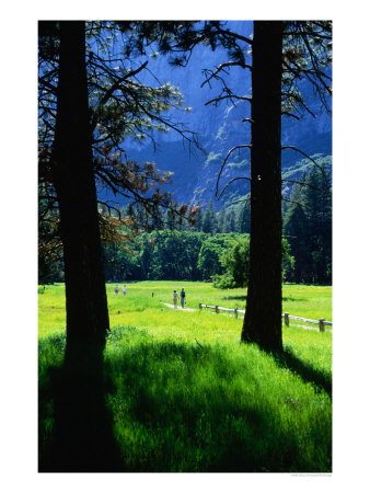 Couples Walk On Paths Through The Spring Fields, Yosemite Valley, California, Usa by Thomas Winz Pricing Limited Edition Print image