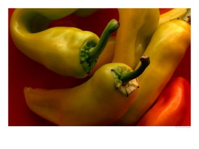 Yellow And Red Chilli Peppers, Australia by John Hay Pricing Limited Edition Print image