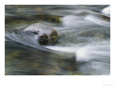 Water Swirls Around A Rock by Paul Nicklen Pricing Limited Edition Print image