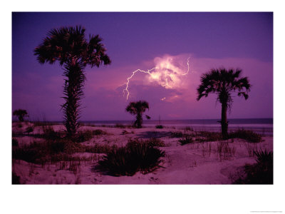 Lightning Illuminates The Purple Sky Over Cumberland Island National Seashore by Raymond Gehman Pricing Limited Edition Print image