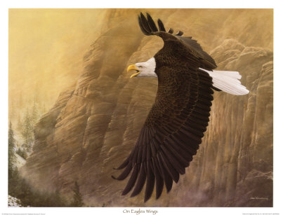 On Eagles Wings by Robert Travers Pricing Limited Edition Print image