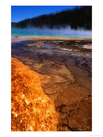 Steam Rising Off Grand Prismatic Spring, Yellowstone National Park, Usa by Carol Polich Pricing Limited Edition Print image