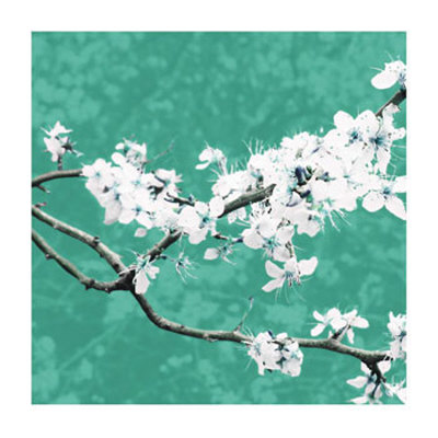 Blossom In Green by Gail Mckenzie Pricing Limited Edition Print image