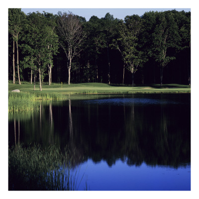 Shanty Creek Resort The Legend Course, Hole 7 by Dom Furore Pricing Limited Edition Print image