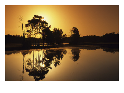 Eastwood Golf Club Sunset by Stephen Szurlej Pricing Limited Edition Print image