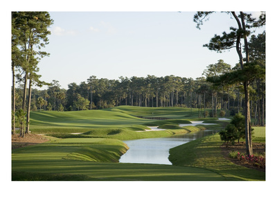 Tpc Sawgrass Stadium Course, Hole 4 by Stephen Szurlej Pricing Limited Edition Print image