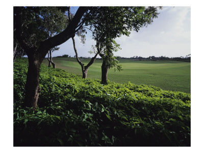 Sandy Lane Country Club, Hole 2 by J.D. Cuban Pricing Limited Edition Print image