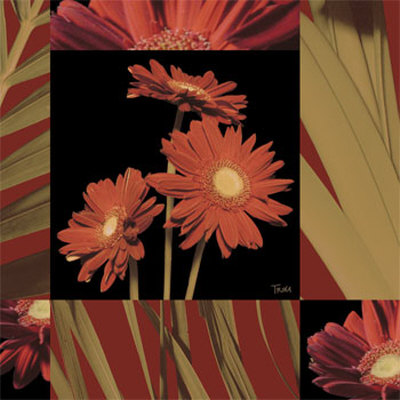 Crimson Gerberas by Katrina Craven Pricing Limited Edition Print image
