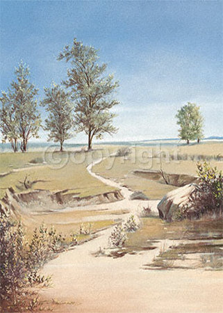 Left Path by Leon Wells Pricing Limited Edition Print image