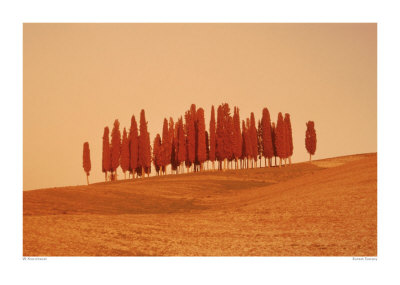 Sunset, Tuscany by W. Krecichwost Pricing Limited Edition Print image