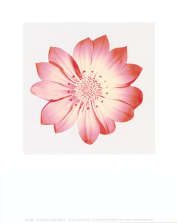 Pink Flowers Ii by Katja Marzahn Pricing Limited Edition Print image