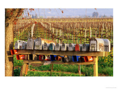 Letter Boxes On Vineyard Lane, Napa, U.S.A. by Oliver Strewe Pricing Limited Edition Print image