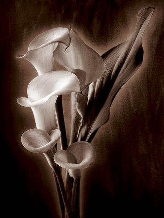 Soft Glow Ii by Christine Elizabeth Pricing Limited Edition Print image