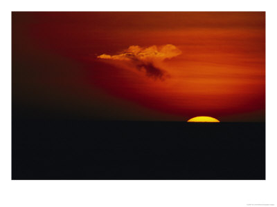 Red Sky At Sunset With The Sun On The Horizon And A Goose-Shaped Cloud by Tim Laman Pricing Limited Edition Print image