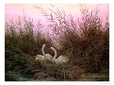 Swans In The Reeds, Circa 1820 by Caspar David Friedrich Pricing Limited Edition Print image