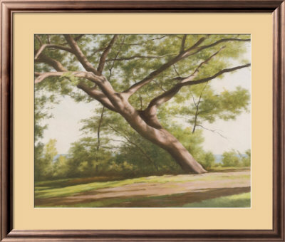 Leaning Tree, 2003 by John Folchi Pricing Limited Edition Print image