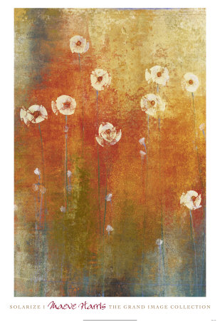 Solarize I by Maeve Harris Pricing Limited Edition Print image
