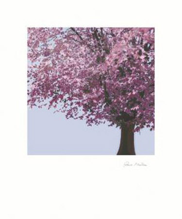 Spring Blossom Ii by Rosie Mclean Pricing Limited Edition Print image