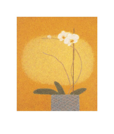 Moth Orchid by Abigail Mclellan Pricing Limited Edition Print image