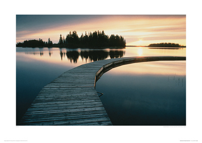 Boardwalk At Elk Island National Park by Anon Pricing Limited Edition Print image