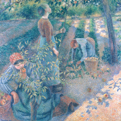 Apple-Picking, 1886 by Camille Pissarro Pricing Limited Edition Print image